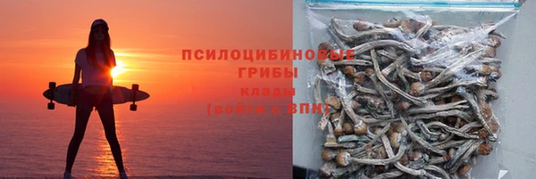 тгк Переславль-Залесский