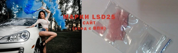стаф Покачи