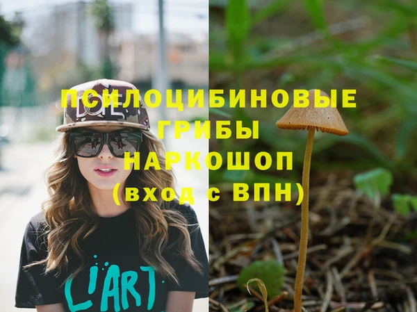 стаф Покачи