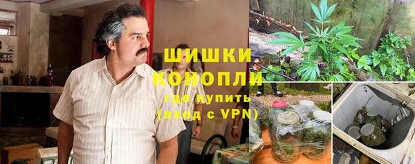 стаф Покачи