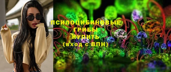 стаф Покачи