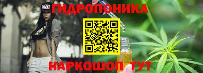 крисы Малоярославец