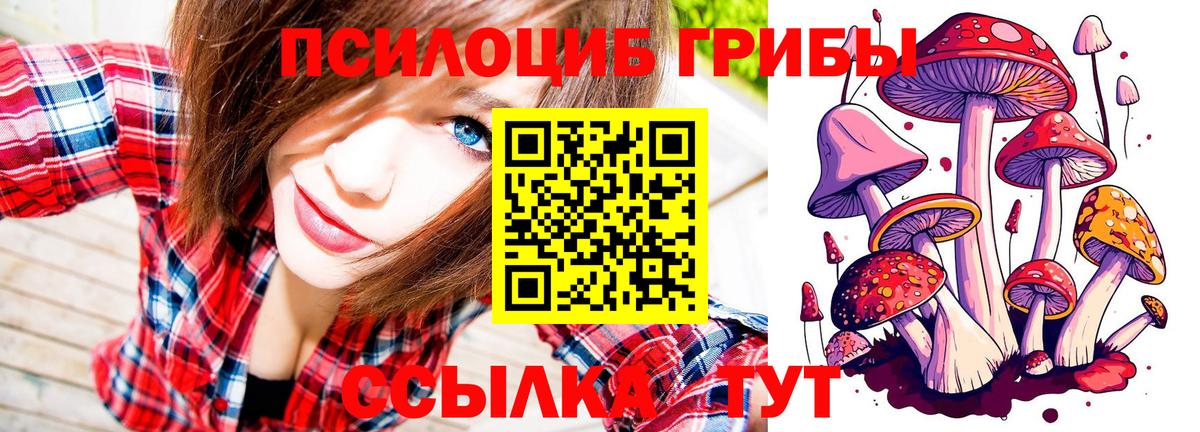 Барнаул  Псилоцибиновые грибы Psilocybine cubensis  Псилоцибиновые грибы MAGIC MUSHROOMS  Вход с VPN 