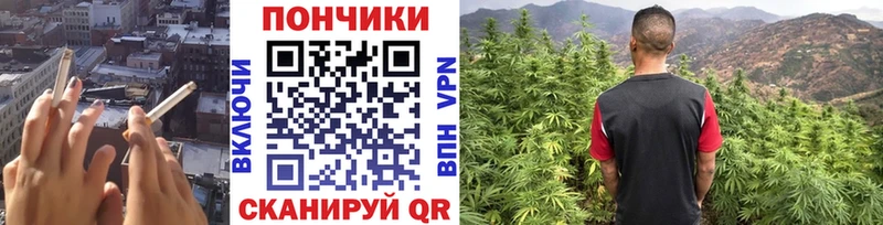 что такое Барнаул Каннабис AK-47